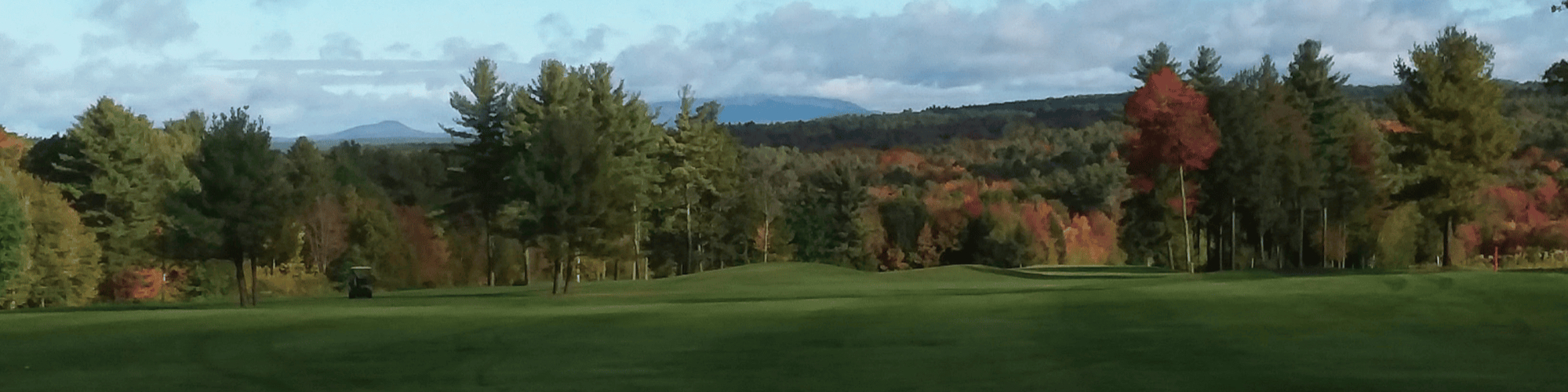 Image of golf ball on tee on grass.