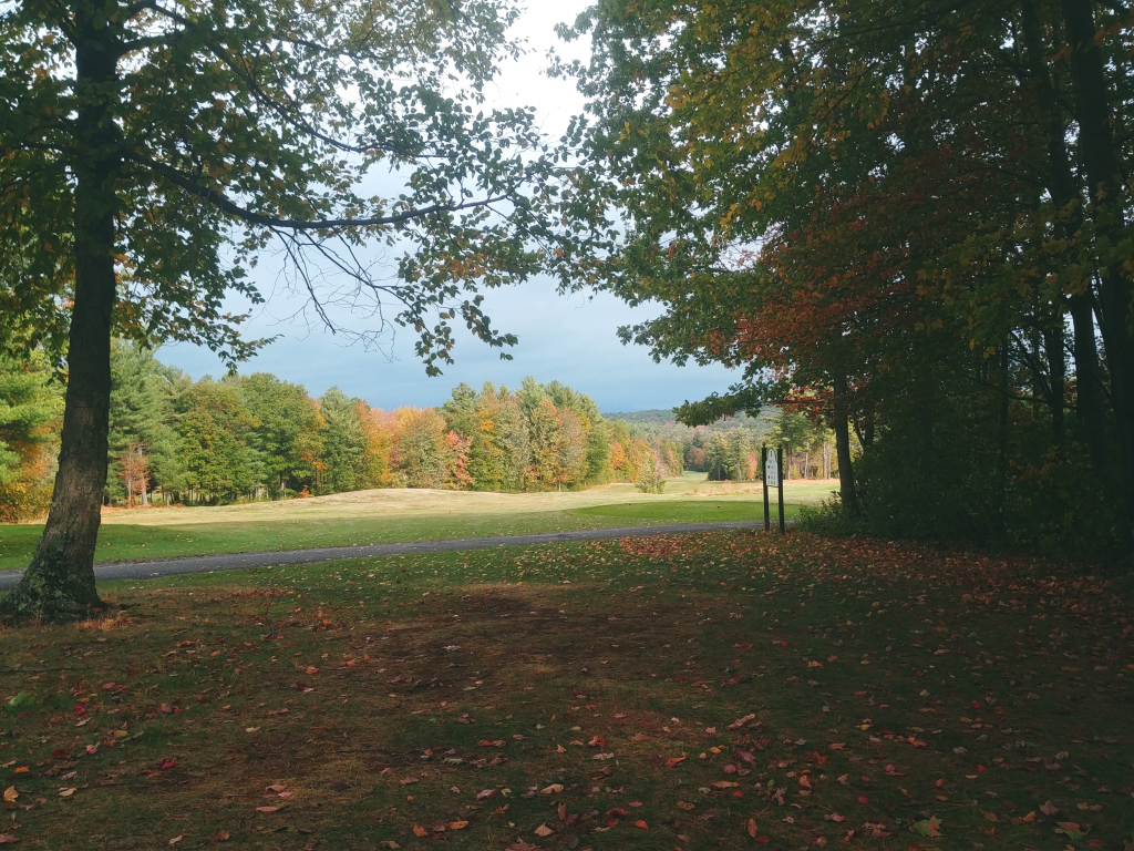 Golf course from the trees